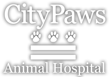 CityPaws Animal Hospital - Uptown