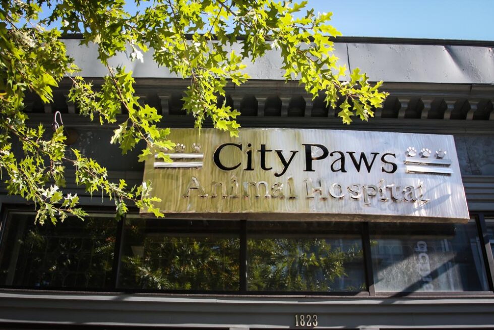 About CityPaws Animal Hospital Uptown Vet In Washington, DC 20008
